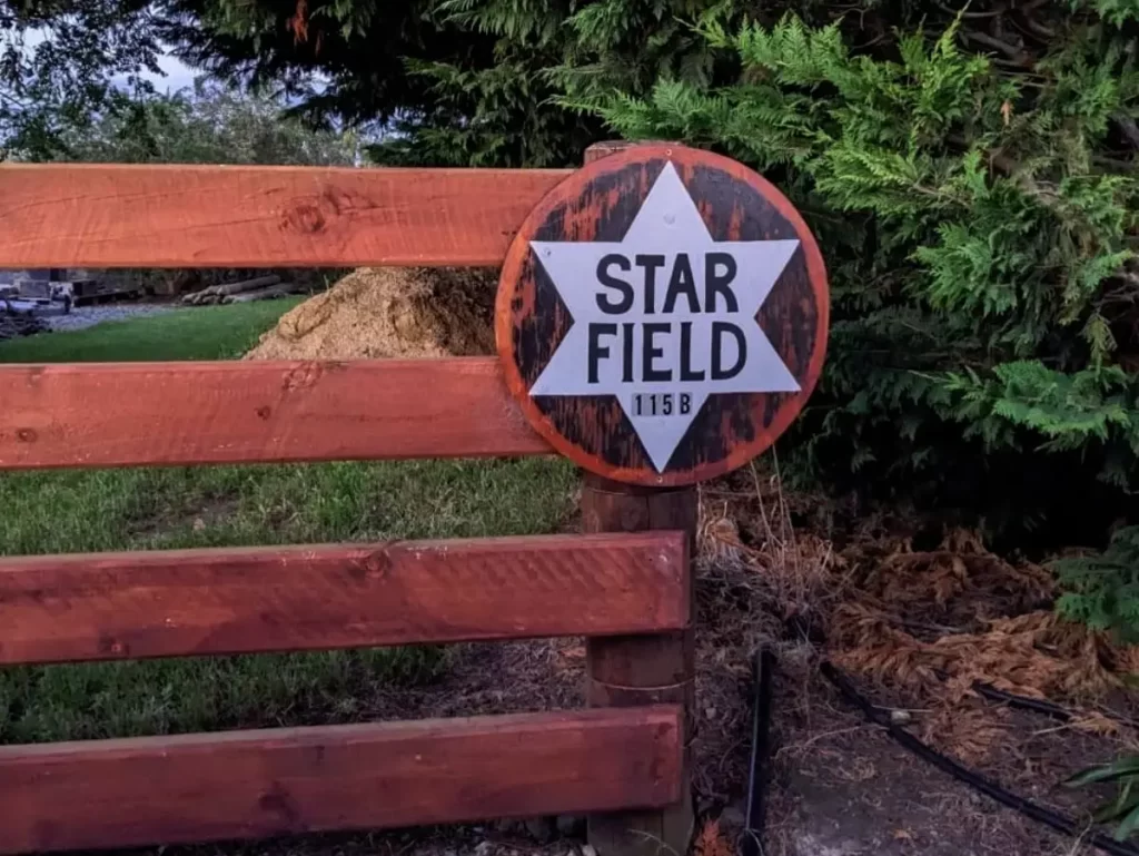 Star field sign